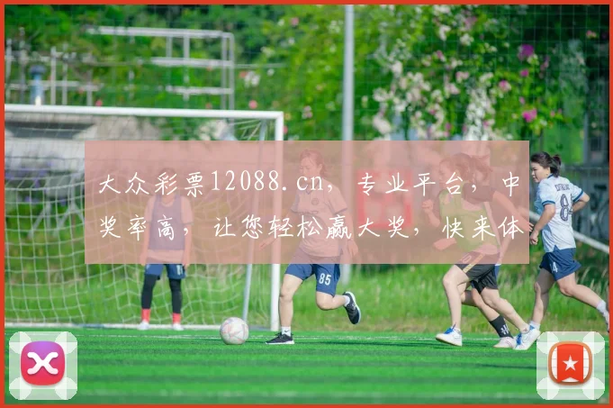 大众彩票12088.cn，专业平台，中奖率高，让您轻松赢大奖，快来体验