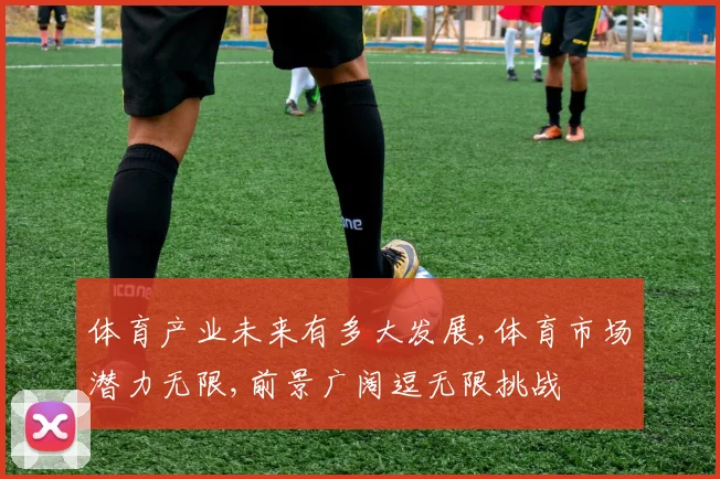 体育产业未来有多大发展,体育市场潜力无限,前景广阔逗无限挑战
