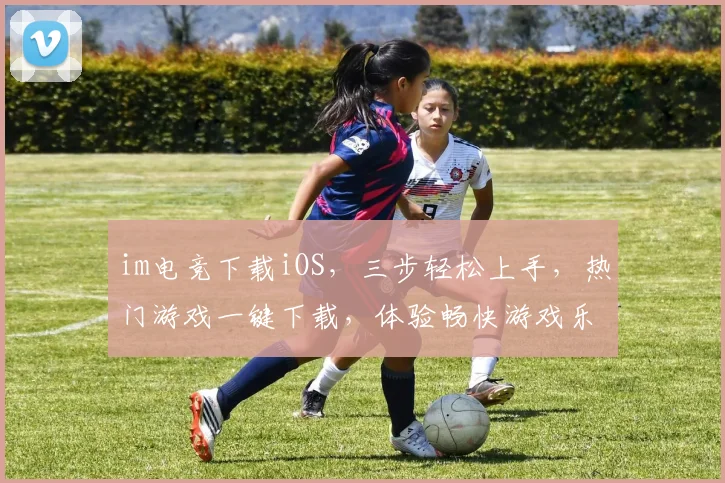 im电竞下载iOS，三步轻松上手，热门游戏一键下载，体验畅快游戏乐趣，必备