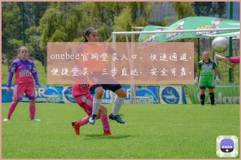 onebee官网登录入口，快速通道，便捷登录，三步直达，安全可靠，不容错过，体验无忧