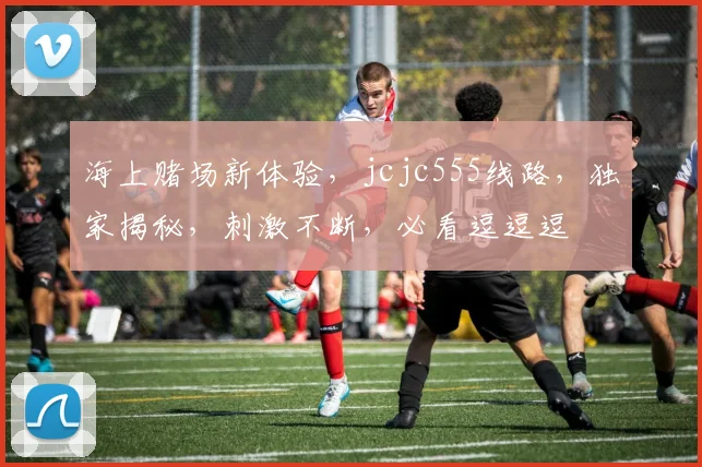 海上赌场新体验，jcjc555线路，独家揭秘，刺激不断，必看逗逗逗
